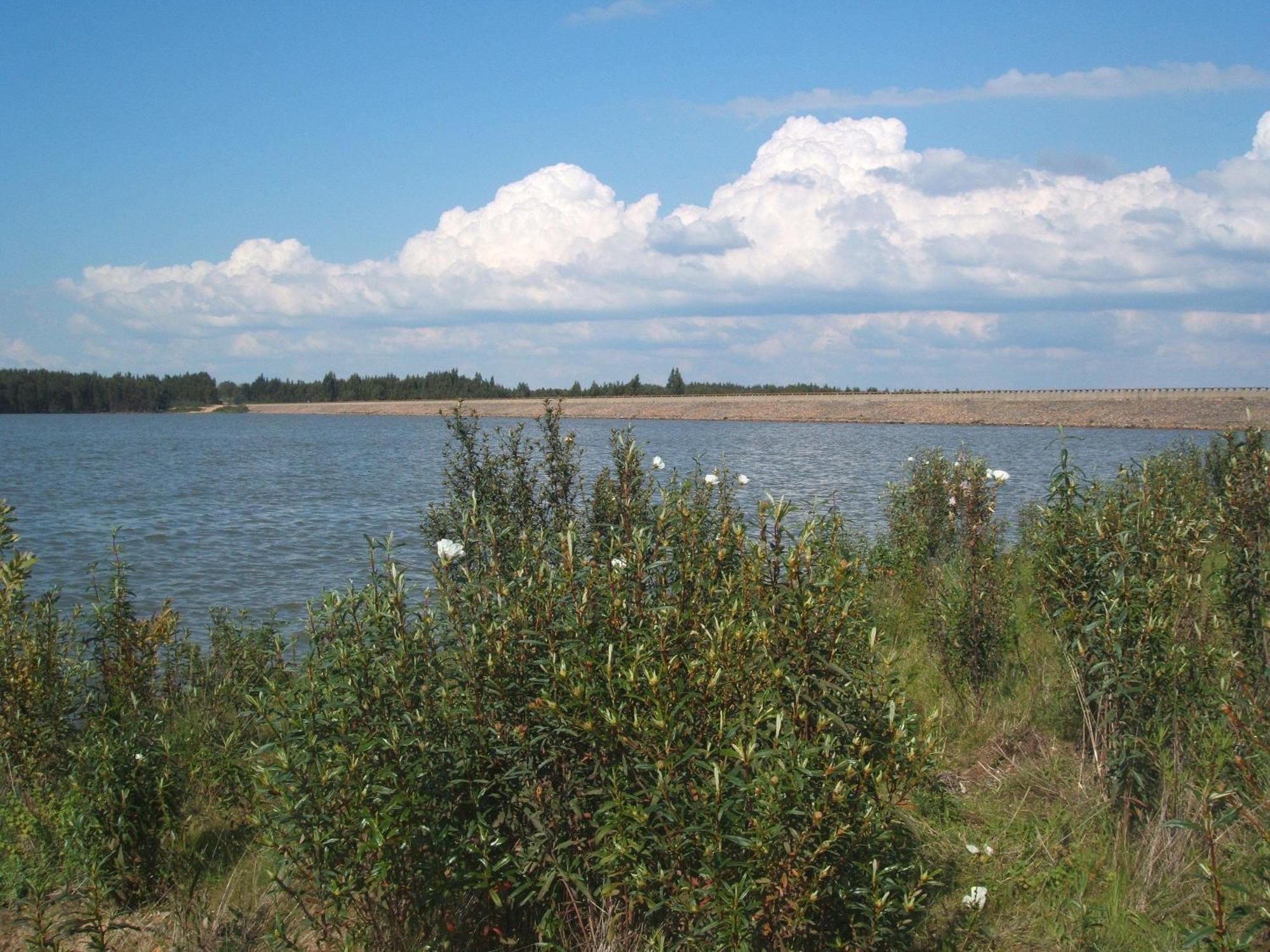 Verdemar Cercal do Alentejo Екстериор снимка