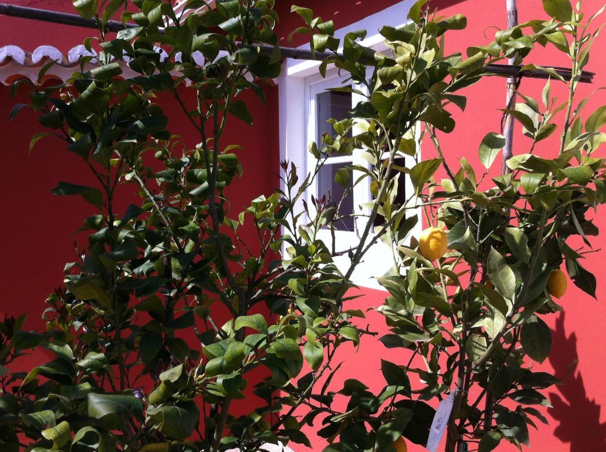Verdemar Cercal do Alentejo Екстериор снимка